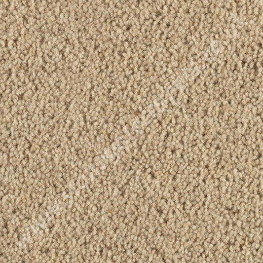 Penthouse Carpets Quartz Lorimar 10099