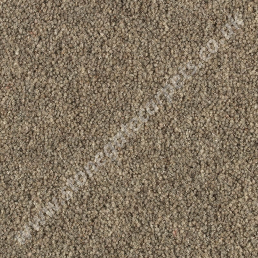 Penthouse Carpets Shoreline Barnacle 10100