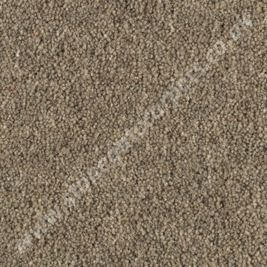 Penthouse Carpets Shoreline Barnacle 10100