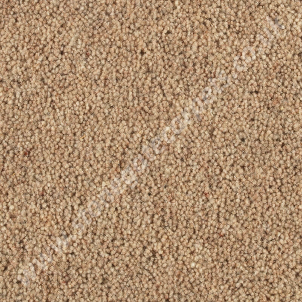 Penthouse Carpets Shoreline Beach 10091