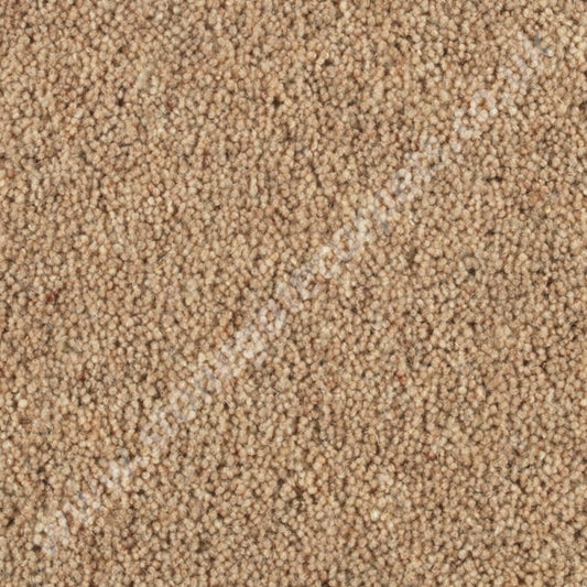 Penthouse Carpets Shoreline Beach 10091