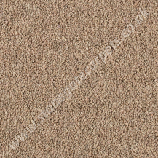 Penthouse Carpets Shoreline Castaway 10096