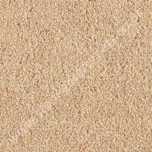 Penthouse Carpets Shoreline Cockleshell 10090