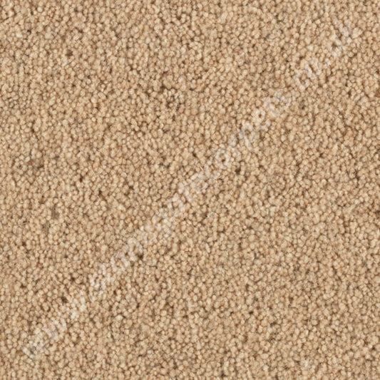 Penthouse Carpets Shoreline Dune 10092