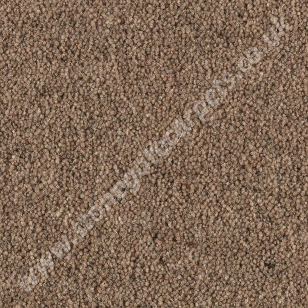 Penthouse Carpets Shoreline Estuary 10101