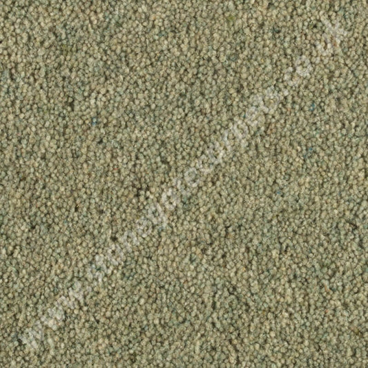 Penthouse Carpets Shoreline Kelp 10107