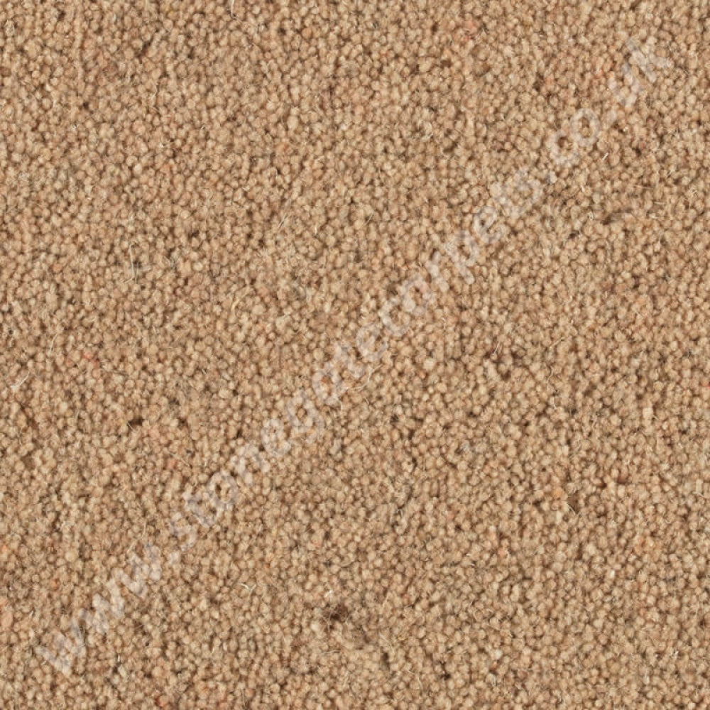 Penthouse Carpets Shoreline Promenade 10093
