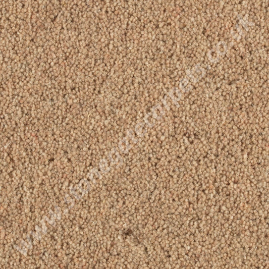 Penthouse Carpets Shoreline Promenade 10093