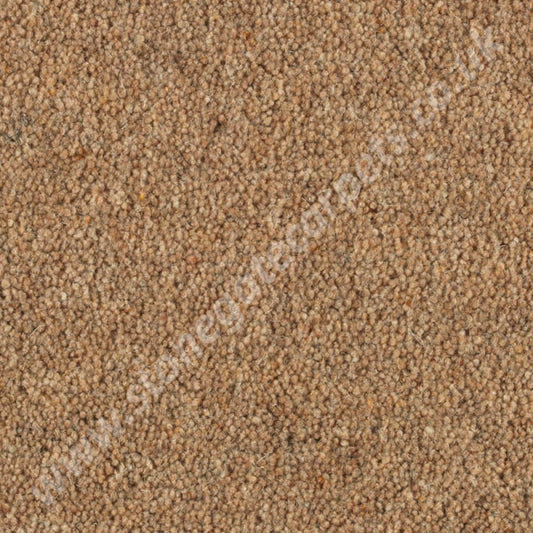 Penthouse Carpets Shoreline Reef 10103