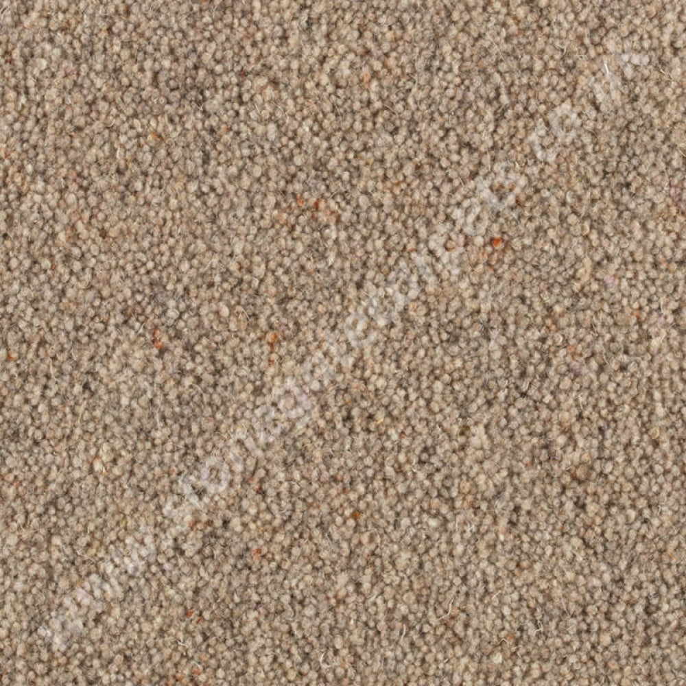 Penthouse Carpets Shoreline Sandbank 10099