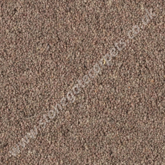 Penthouse Carpets Shoreline Sea Lavender 10110