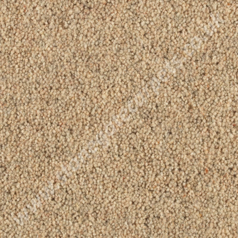 Penthouse Carpets Shoreline Shale 10094
