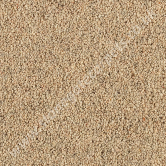 Penthouse Carpets Shoreline Shale 10094