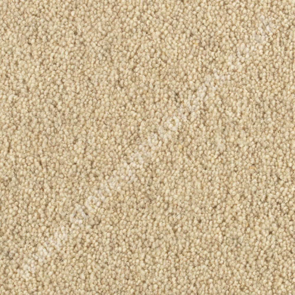 Penthouse Carpets Springtime Cheviot 10108