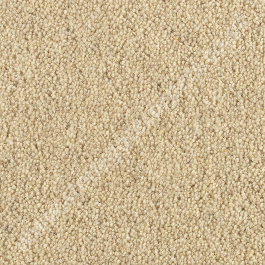 Penthouse Carpets Springtime Cheviot 10108