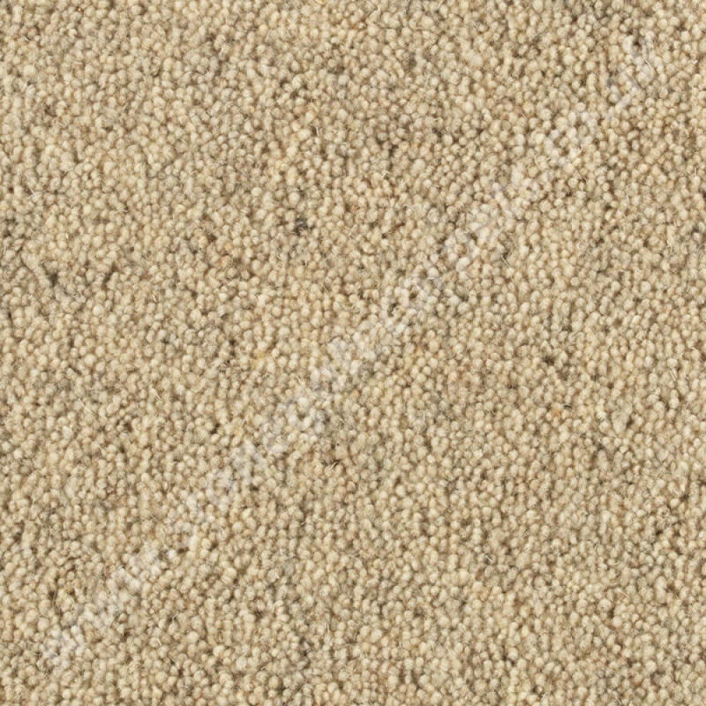 Penthouse Carpets Springtime Dorset Down 10109