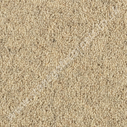 Penthouse Carpets Springtime Dorset Down 10109