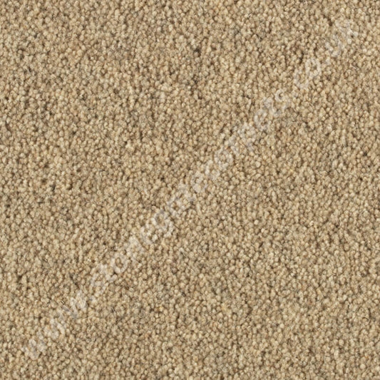 Penthouse Carpets Springtime Exmoor 10111