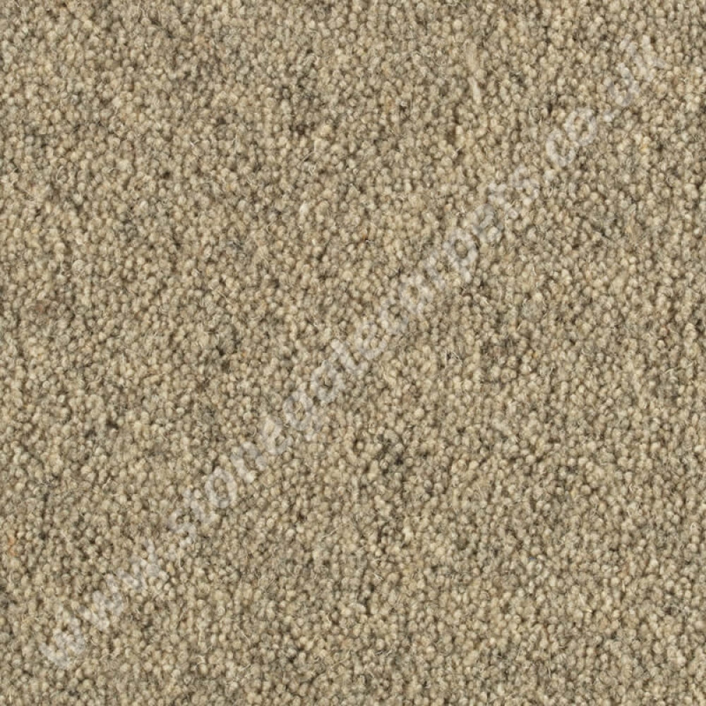 Penthouse Carpets Springtime Jacob 10113