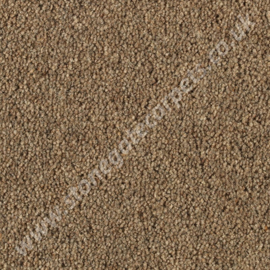 Penthouse Carpets Springtime Romney 10115