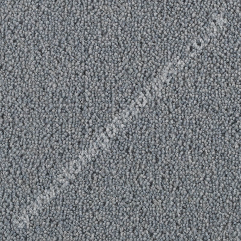 Penthouse Carpets Stateside Clearwater 10041