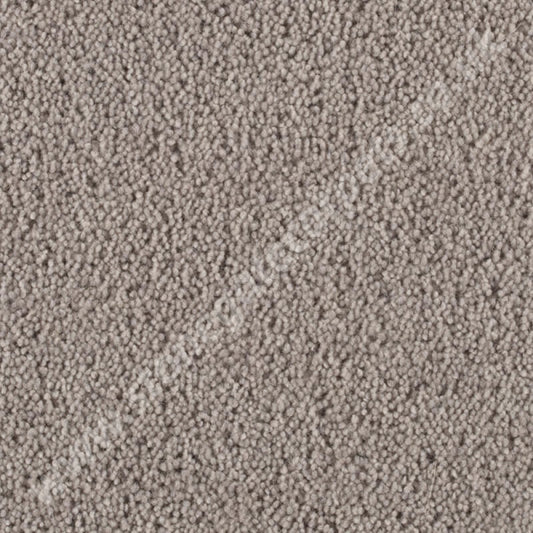 Penthouse Carpets Stateside Columbus 10039 