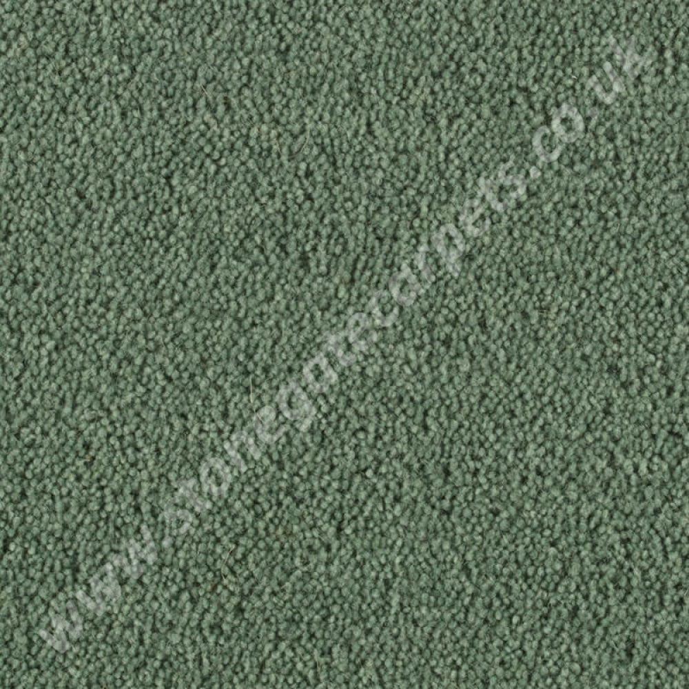 Penthouse Carpets Stateside Dakota 10043