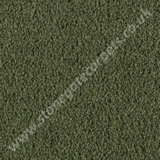 Penthouse Carpets Stateside Houston 10044