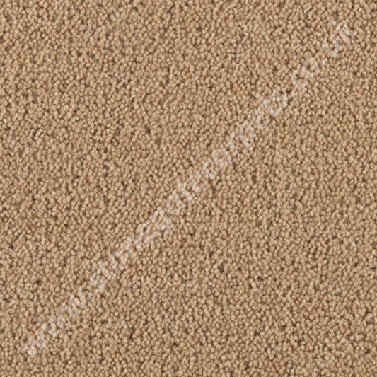 Penthouse Carpets Stateside Vegas 10030