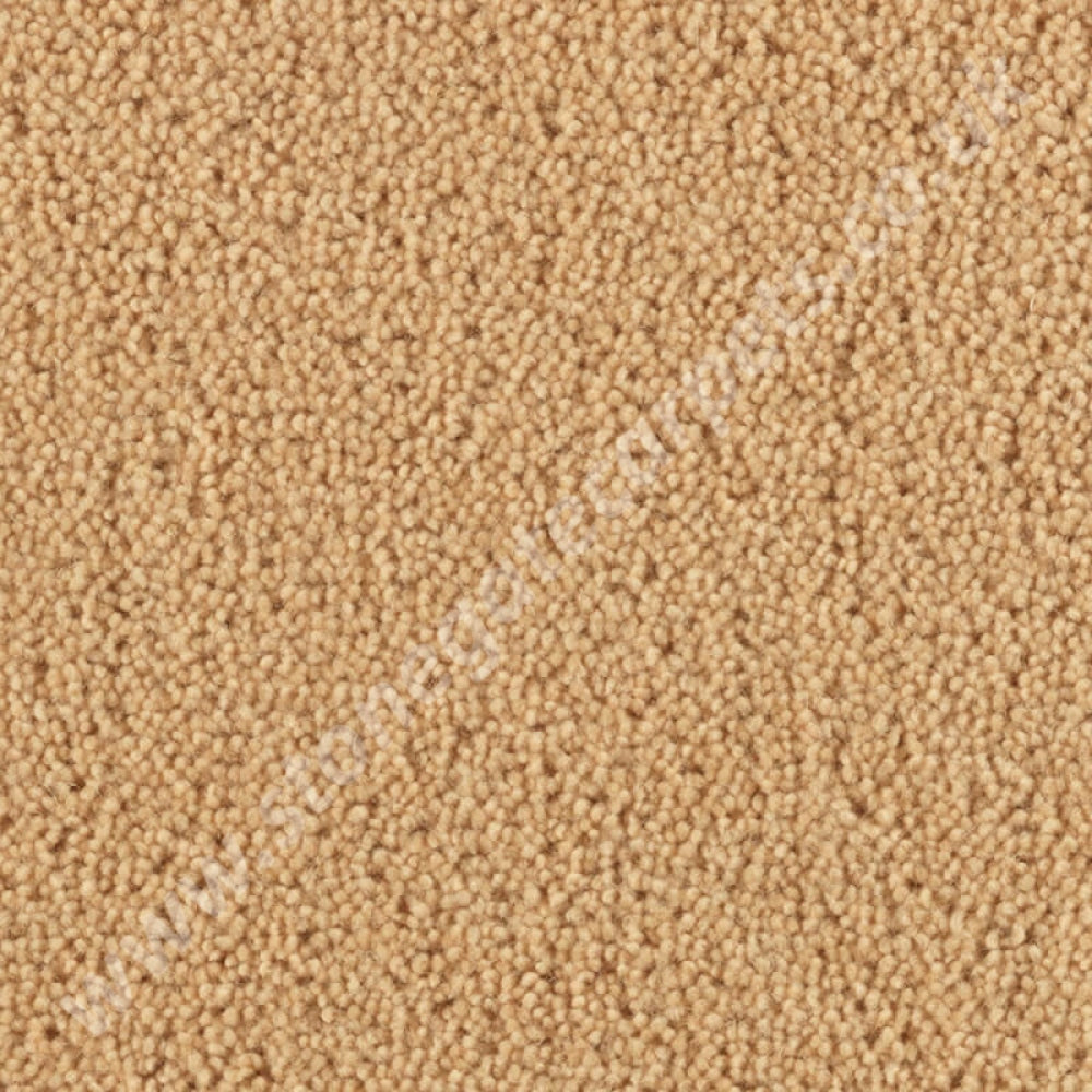 Penthouse Carpets Super Maxim Cane 10110