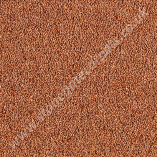 Penthouse Carpets Super Maxim Earthenware 10099