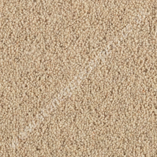 Penthouse Carpets Super Maxim Linen 10104