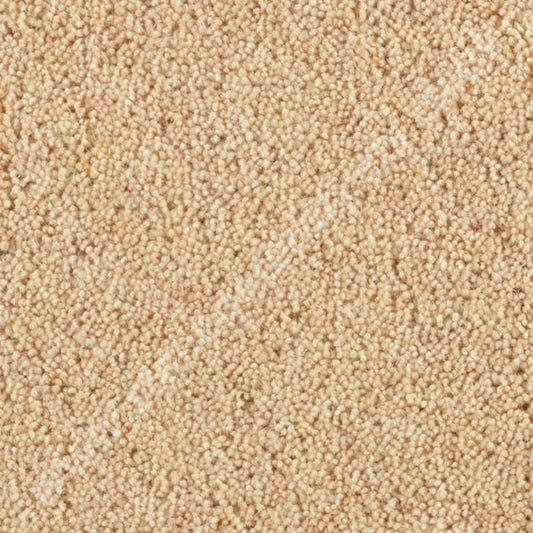 Penthouse Carpets Super Maxim Meadowsweet 10093