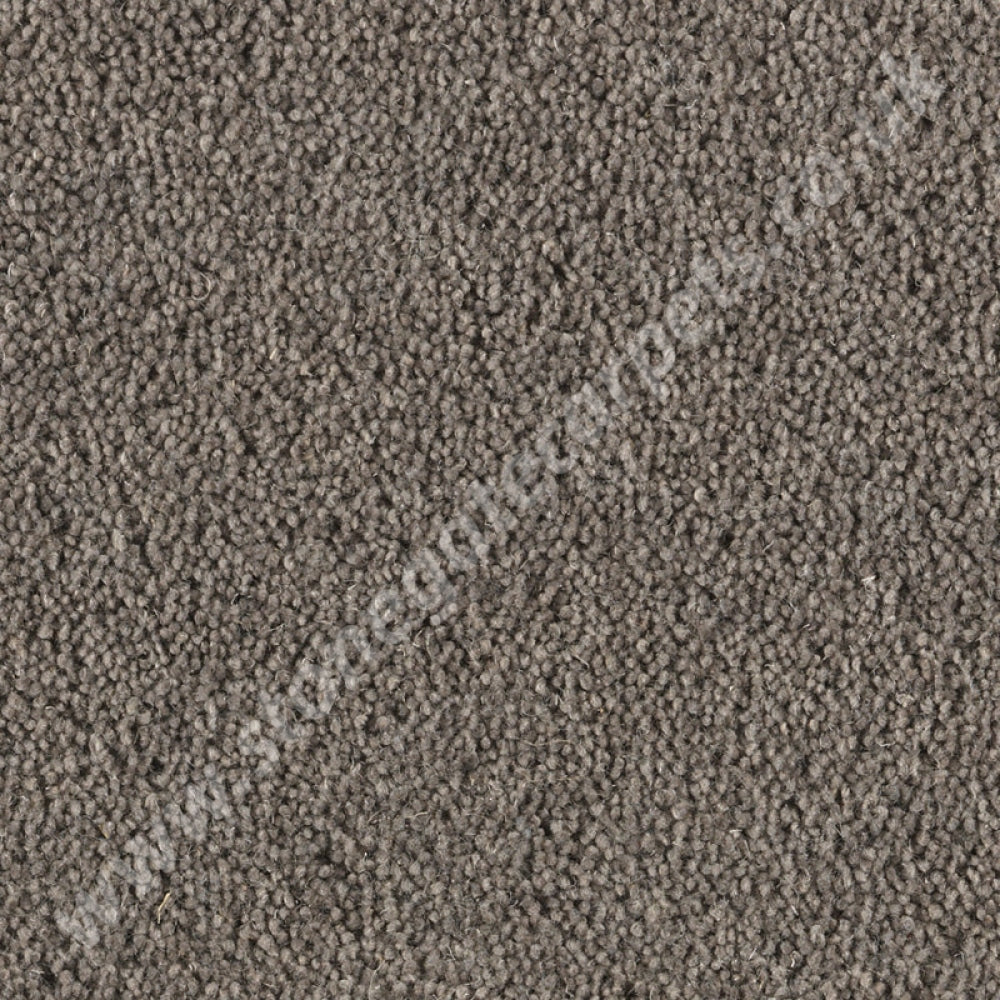 10102Penthouse Carpets Super Maxim Shadow 10094