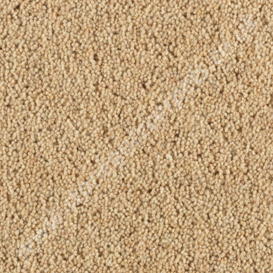 Penthouse Carpets Super Maxim Thatch 10098