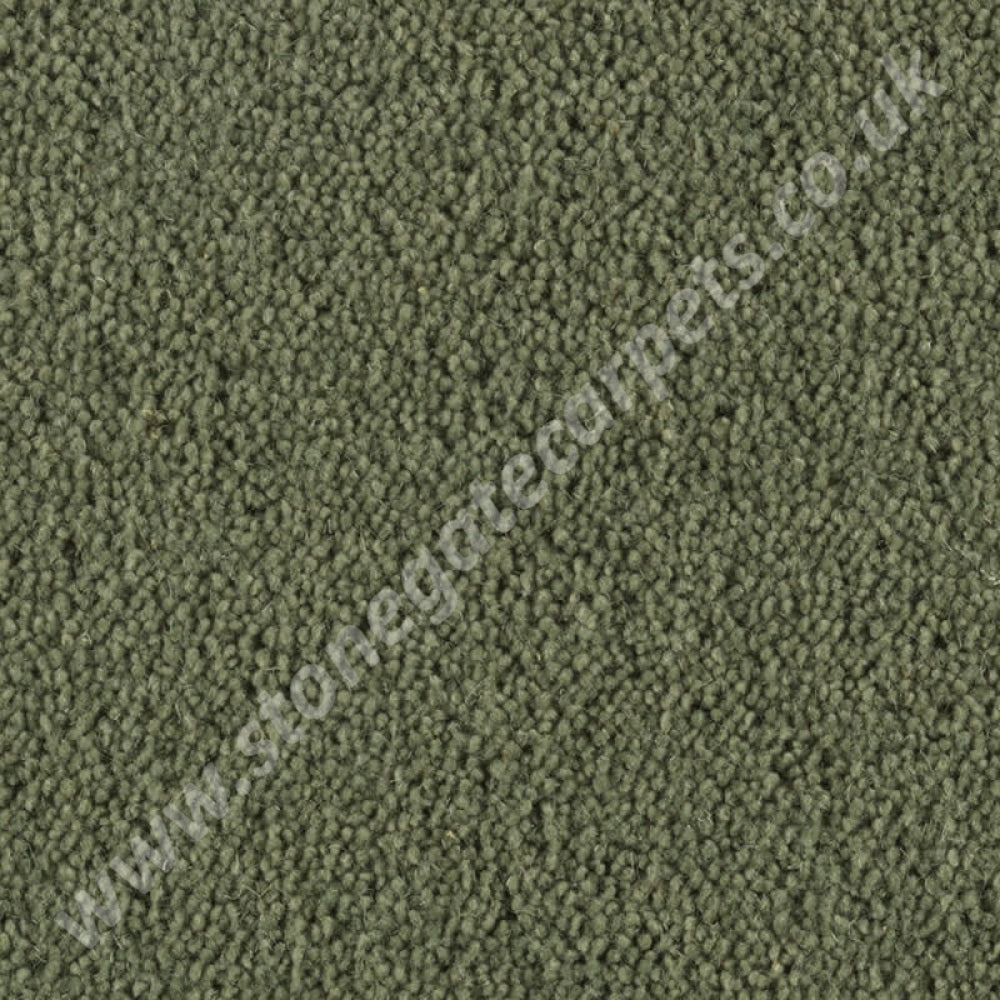 Penthouse Carpets Super Maxim Verdant 10116