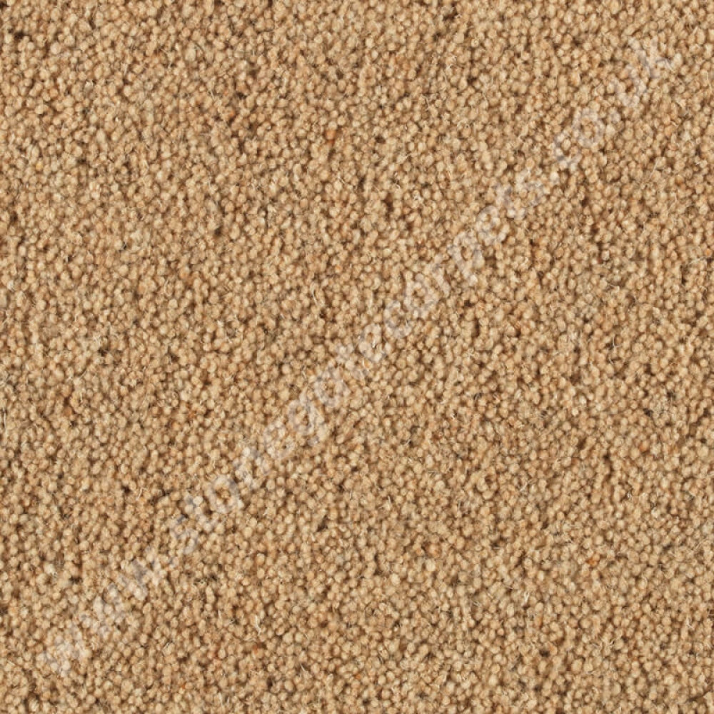 Penthouse Carpets Vermont Austin 10057