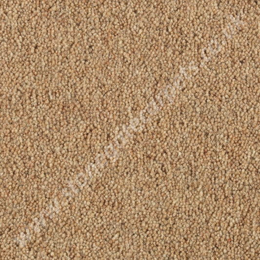 Penthouse Carpets Vermont Dallas 10052