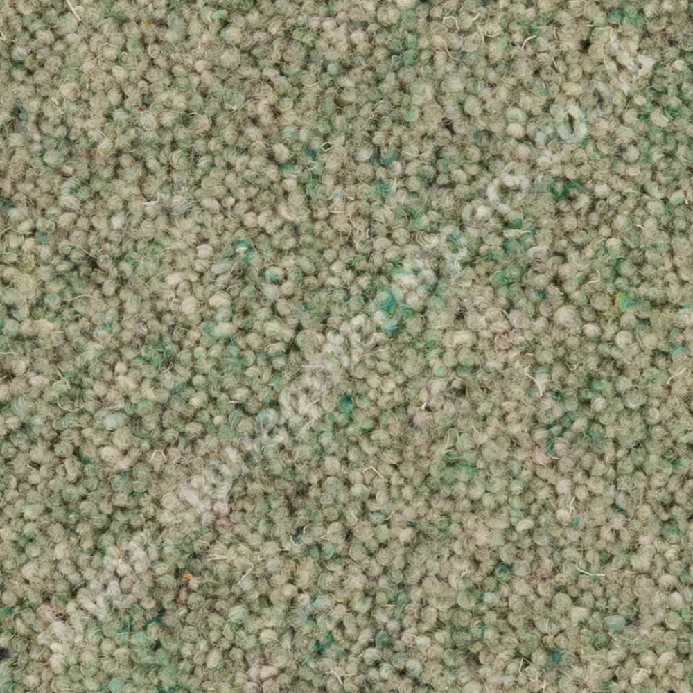 Penthouse Carpets Vermont Greensboro (Per M²) Carpet
