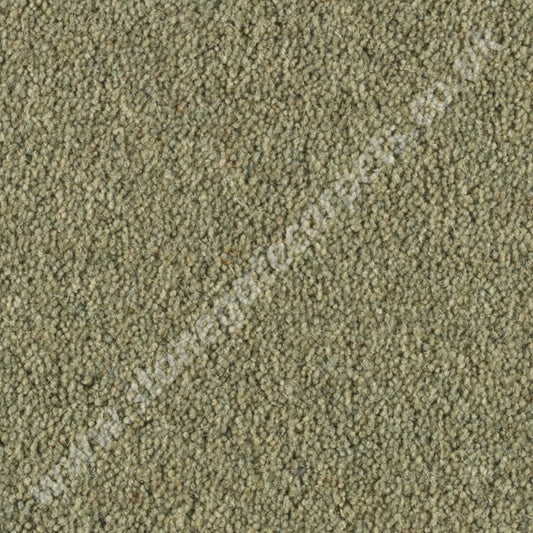 Penthouse Carpets Vermont Shelby 10066