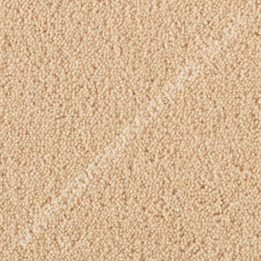 Penthouse Carpets Wentworth Bramham 10091