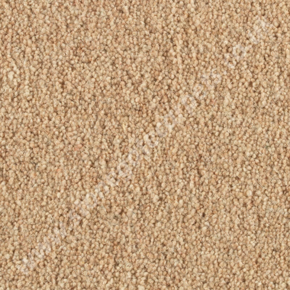 Penthouse Carpets Wentworth Oxted Stonegate Carpets