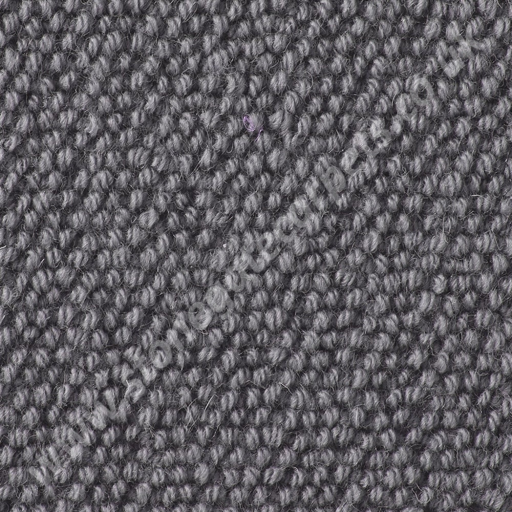 Westex Carpets Natural Loop - Briar Colour Chrome (Per M²)