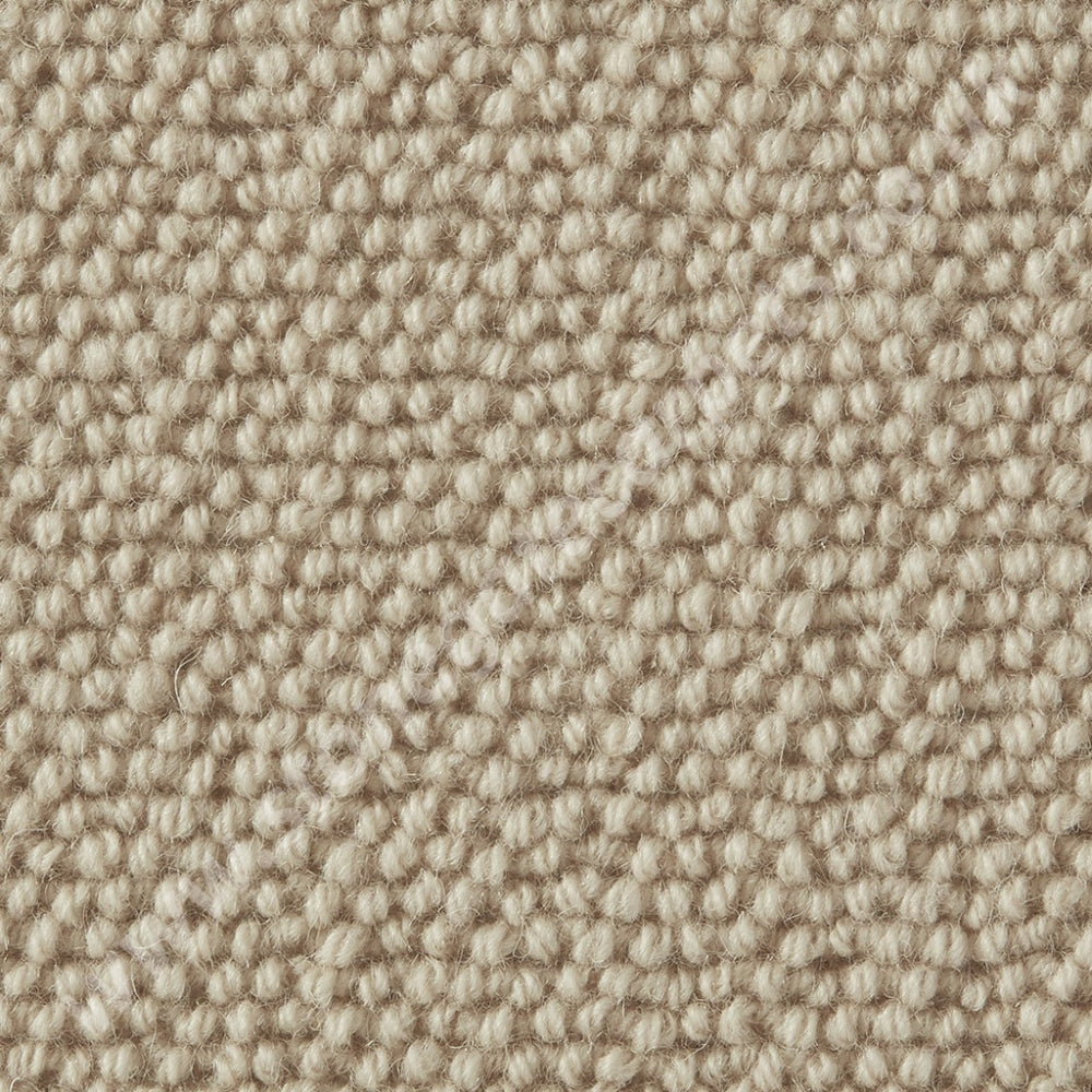 Westex Carpets Natural Loop - Briar Colour Soya (Per M²)