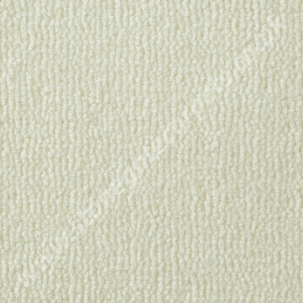 Westex Carpets Pure Luxury - Colour Ermine (Per M²)
