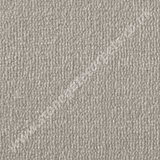 Westex Carpets Pure Luxury - Tundra Colour Latte (Per M²)