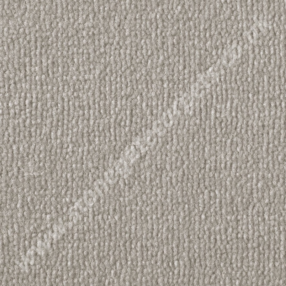 Westex Carpets Pure Luxury - Tundra Colour Latte (Per M²)