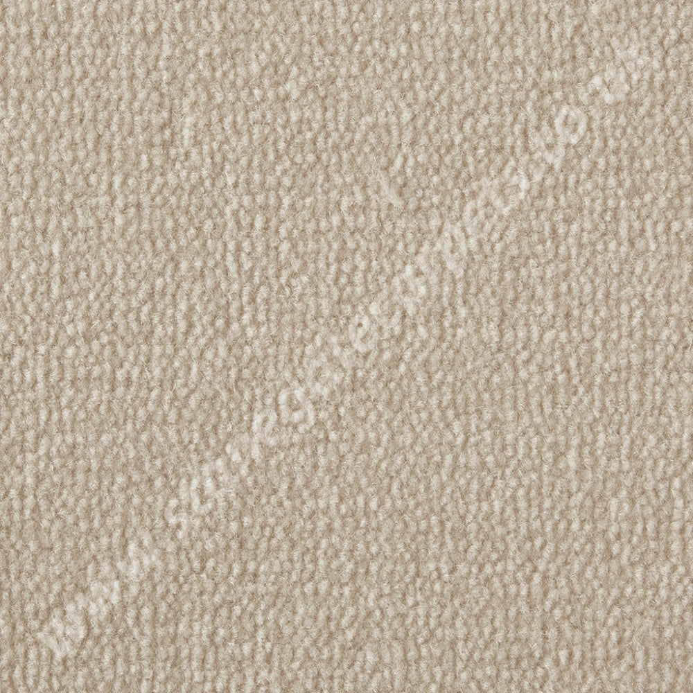 Westex Carpets Pure Luxury - Tundra Colour Magnolia (Per M²)