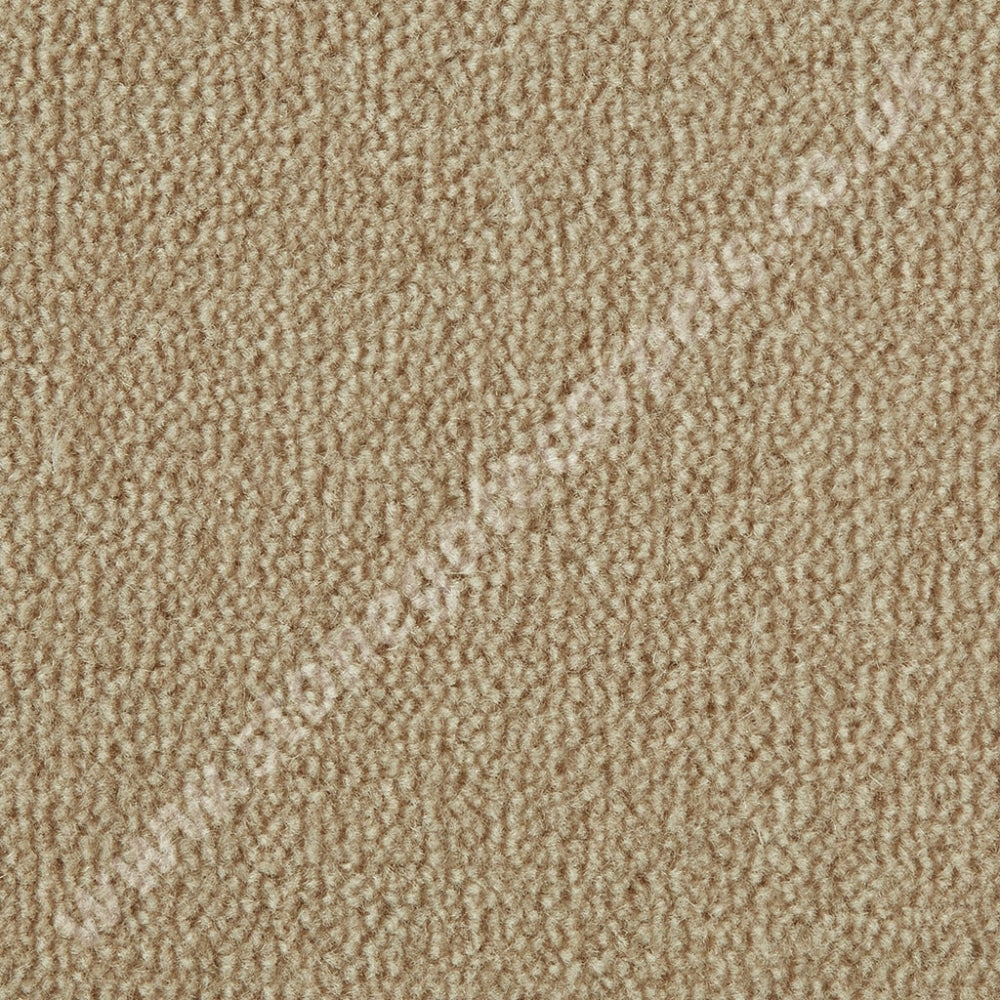 Westex Carpets Westend Velvet - Colour Barley (Per M²)