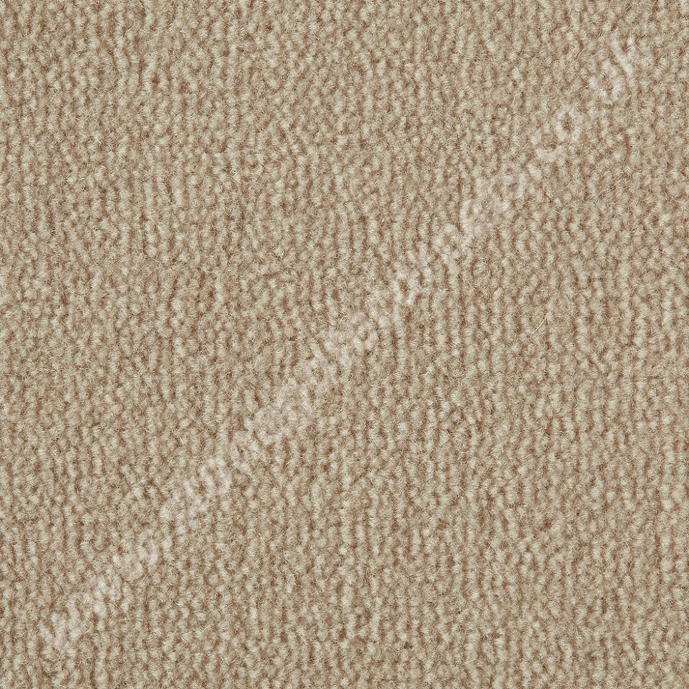 Westex Carpets Westend Velvet - Colour Bisque (Per M²)